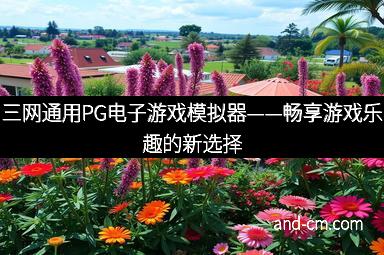 三网通用PG电子游戏模拟器——畅享游戏乐趣的新选择